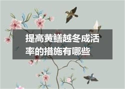 提高黄鳝越冬成活率的措施有哪些