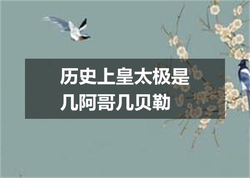 历史上皇太极是几阿哥几贝勒