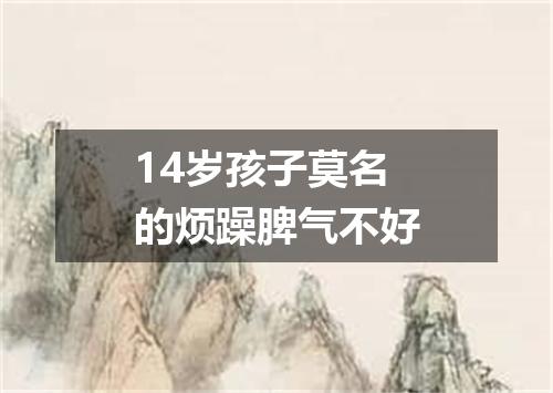 14岁孩子莫名的烦躁脾气不好