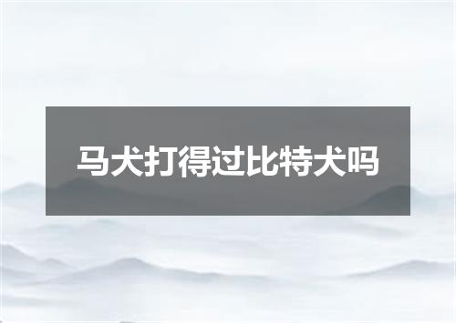 马犬打得过比特犬吗