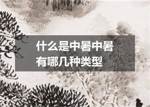 什么是中暑中暑有哪几种类型