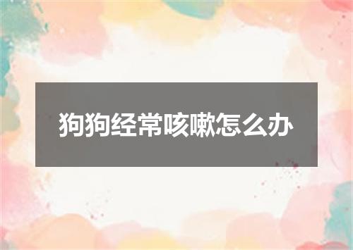 狗狗经常咳嗽怎么办