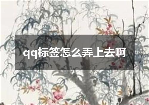 qq标签怎么弄上去啊