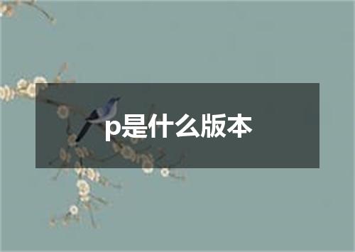 p是什么版本