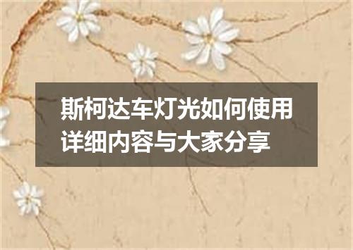 斯柯达车灯光如何使用详细内容与大家分享