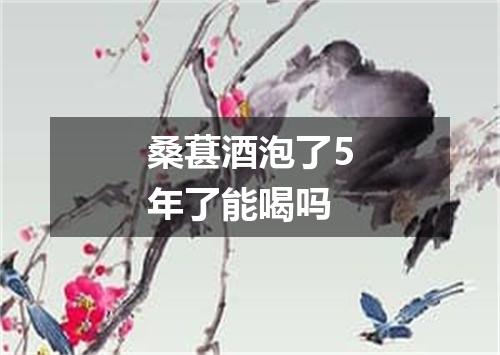 桑葚酒泡了5年了能喝吗