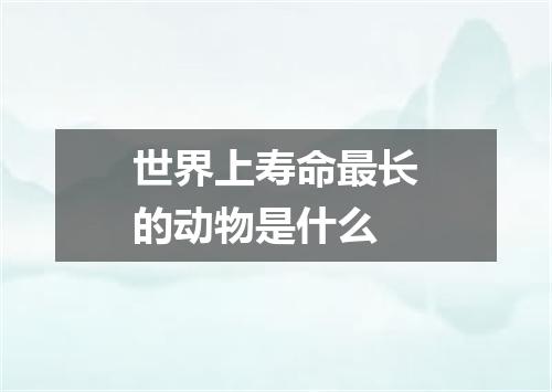 世界上寿命最长的动物是什么