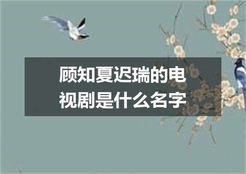 顾知夏迟瑞的电视剧是什么名字