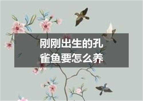 刚刚出生的孔雀鱼要怎么养