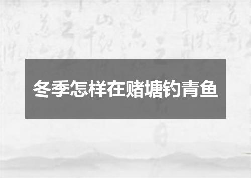 冬季怎样在赌塘钓青鱼