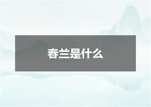 春兰是什么