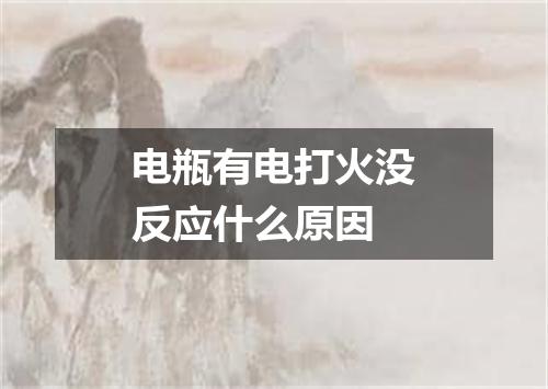 电瓶有电打火没反应什么原因