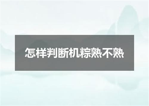 怎样判断机粽熟不熟