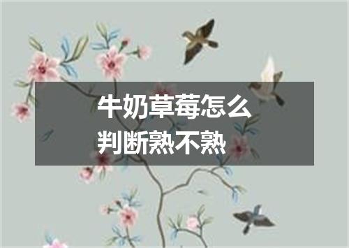牛奶草莓怎么判断熟不熟