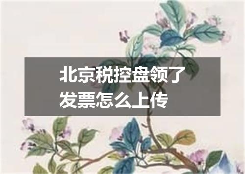 北京税控盘领了发票怎么上传