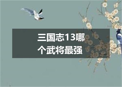 三国志13哪个武将最强