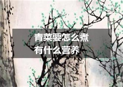 青菜要怎么煮有什么营养