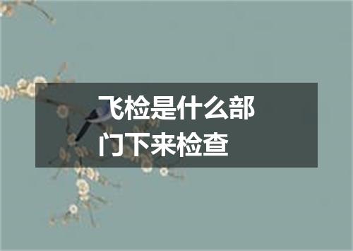 飞检是什么部门下来检查