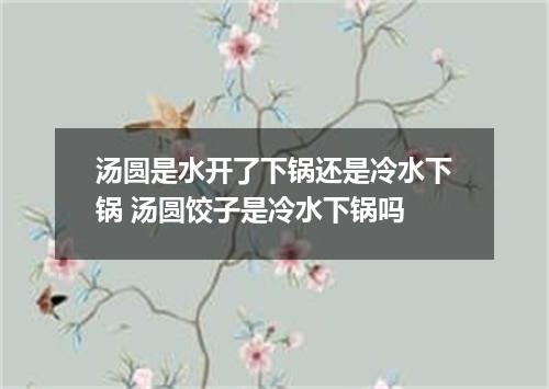 汤圆是水开了下锅还是冷水下锅 汤圆饺子是冷水下锅吗