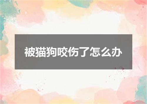 被猫狗咬伤了怎么办