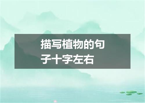描写植物的句子十字左右