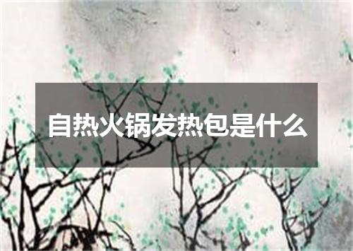 自热火锅发热包是什么