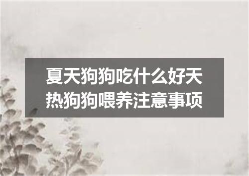 夏天狗狗吃什么好天热狗狗喂养注意事项