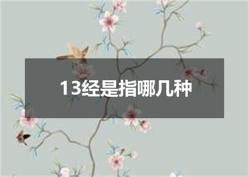 13经是指哪几种