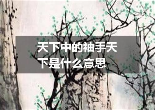 天下中的袖手天下是什么意思