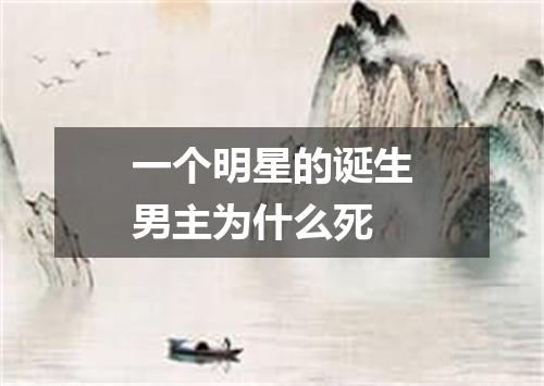 一个明星的诞生男主为什么死