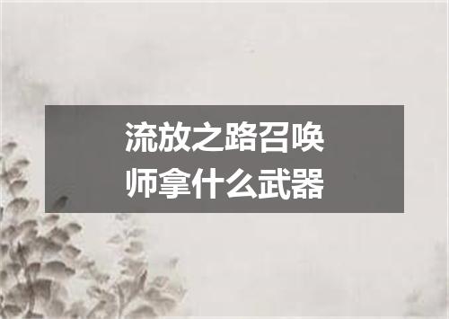 流放之路召唤师拿什么武器
