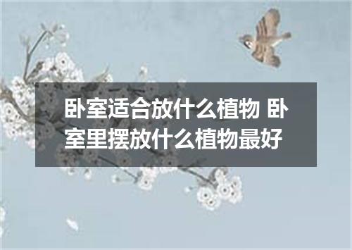 卧室适合放什么植物 卧室里摆放什么植物最好