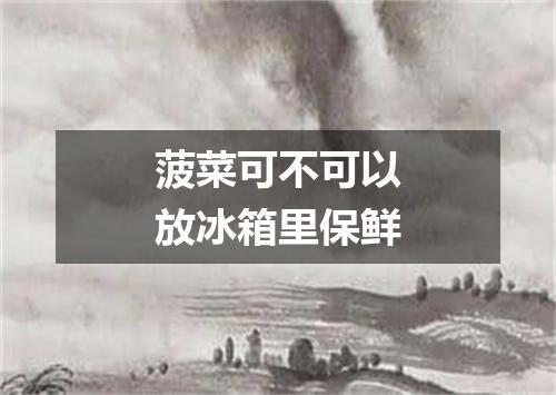 菠菜可不可以放冰箱里保鲜