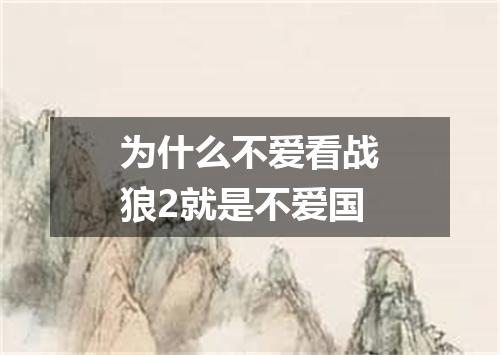 为什么不爱看战狼2就是不爱国