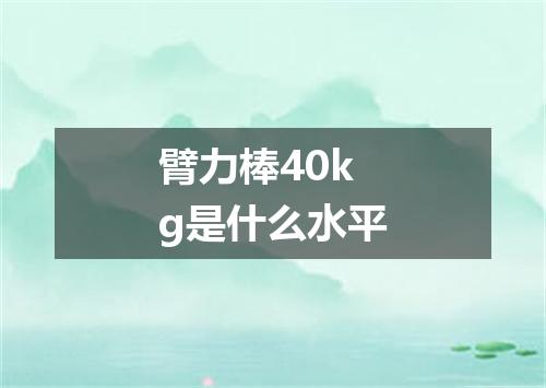 臂力棒40kg是什么水平