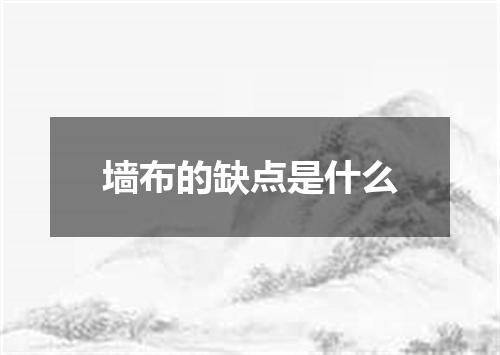 墙布的缺点是什么