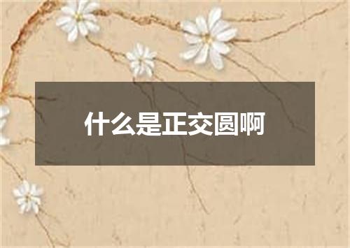 什么是正交圆啊
