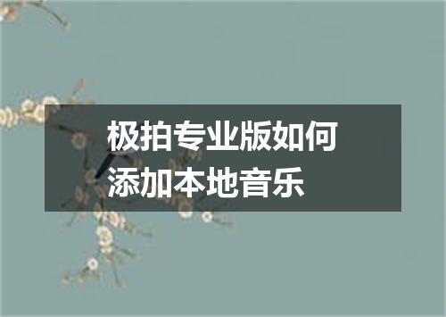 极拍专业版如何添加本地音乐