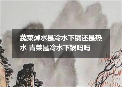 蔬菜焯水是冷水下锅还是热水 青菜是冷水下锅吗吗