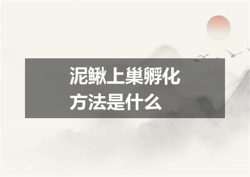 泥鳅上巢孵化方法是什么