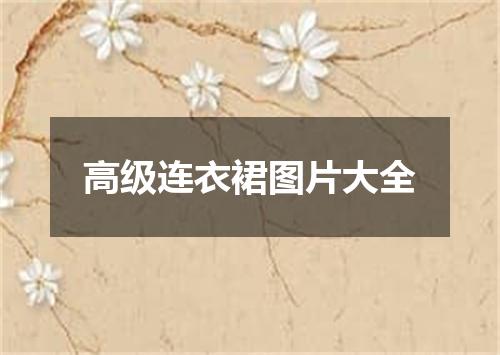 高级连衣裙图片大全