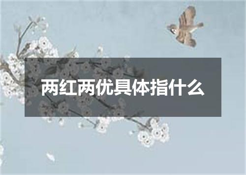 两红两优具体指什么
