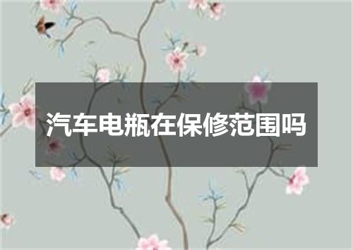 汽车电瓶在保修范围吗