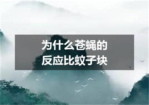 为什么苍蝇的反应比蚊子块