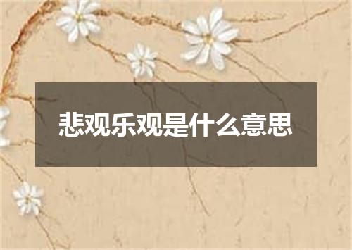 悲观乐观是什么意思