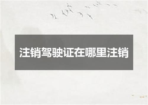 注销驾驶证在哪里注销