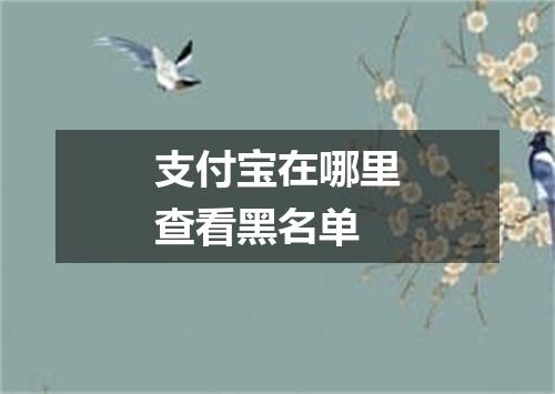 支付宝在哪里查看黑名单