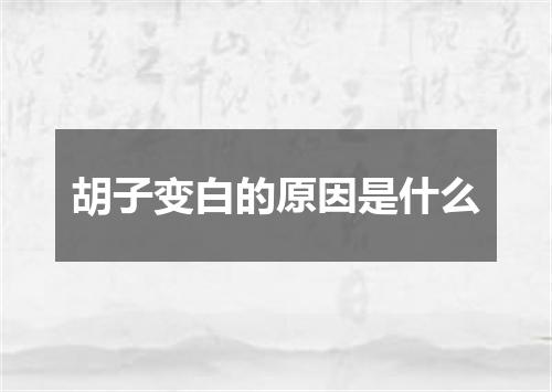 胡子变白的原因是什么