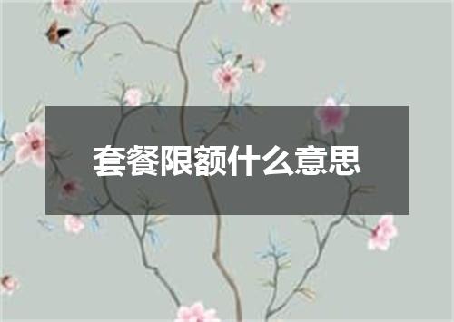 套餐限额什么意思