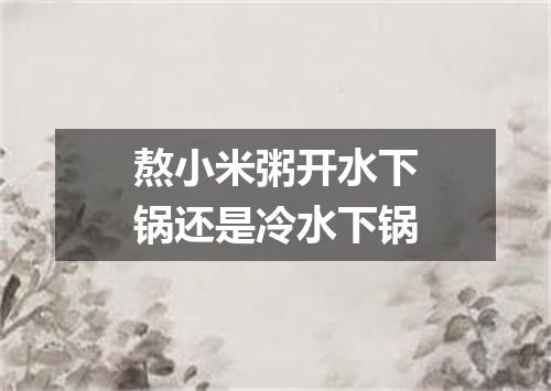 熬小米粥开水下锅还是冷水下锅
